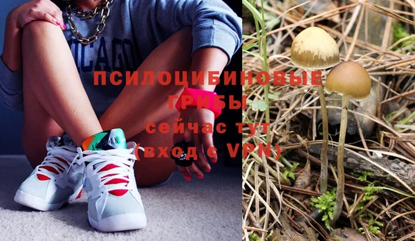 герыч Бугульма