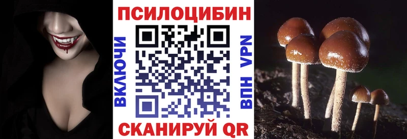 Псилоцибиновые грибы Psilocybine cubensis наркошоп Будённовск